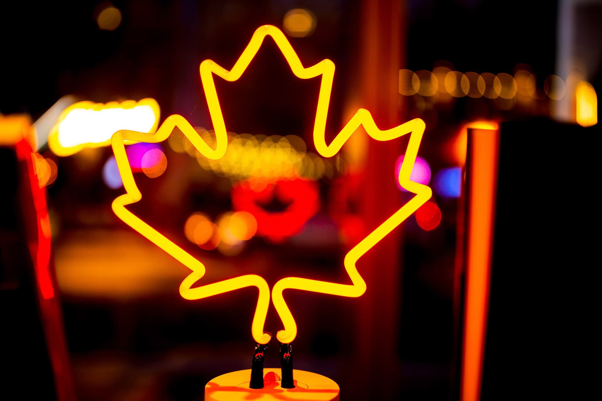 Glowing neon maple leaf with warm night bokeh